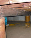 Mold and rot thriving in a dirt floor crawl space in South Bend