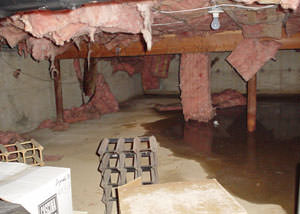 fiberglass insulation dripping off the ceiling of a crawl space in Granger.