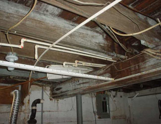 a humid basement overgrown with mold and rot in Dowagiac