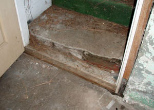 A flooded basement in Bridgman where water entered through the hatchway door