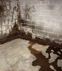 Water seeping through a concrete wall in a Osceola basement