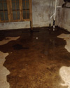 Wet basement repair in Elkhart & nearby